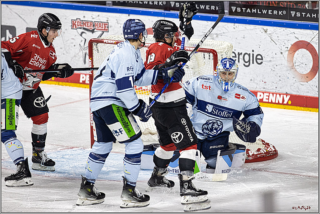 PENNY DEL 1. Koelner Haie - Straubing Tigers; Koeln, 15.12.2023