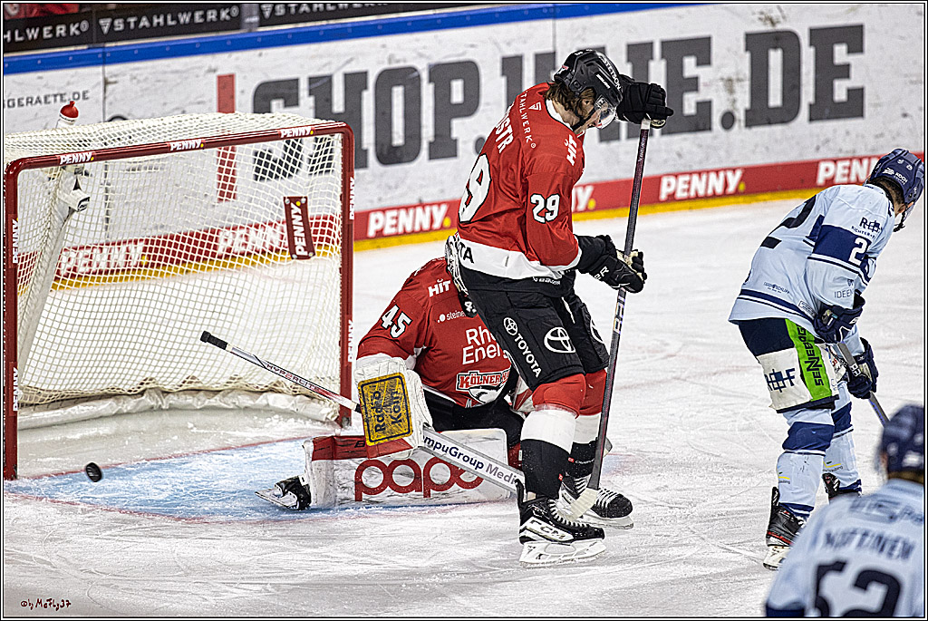 PENNY DEL 1. Koelner Haie - Straubing Tigers; Koeln, 15.12.2023