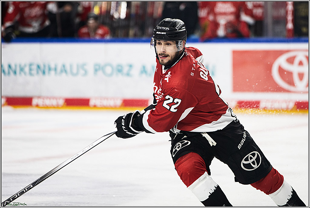 PENNY DEL; Koelner Haie- Straubing Tigers; Koeln, 15.12.2023