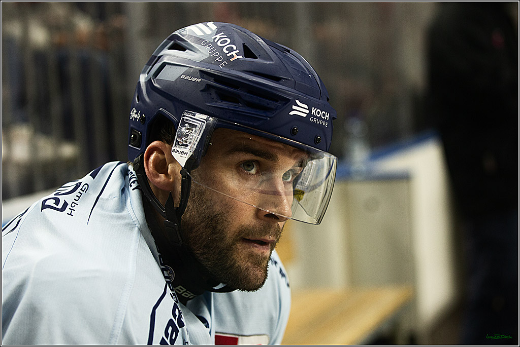 PENNY DEL; Koelner Haie- Straubing Tigers; Koeln, 15.12.2023