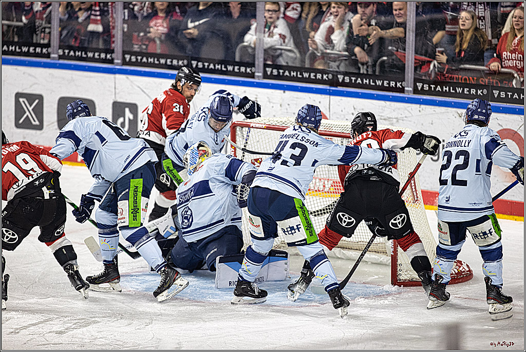 PENNY DEL 1. Koelner Haie - Straubing Tigers; Koeln, 15.12.2023