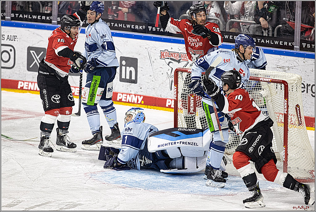 PENNY DEL 1. Koelner Haie - Straubing Tigers; Koeln, 15.12.2023