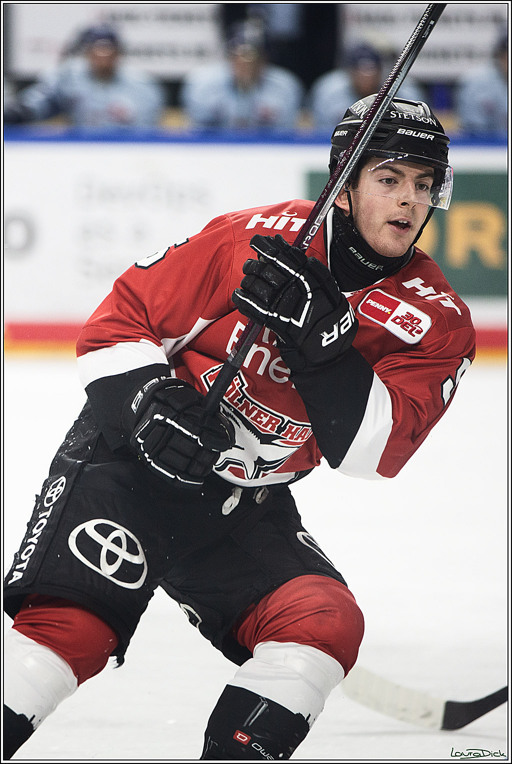 PENNY DEL; Koelner Haie- Straubing Tigers; Koeln, 15.12.2023