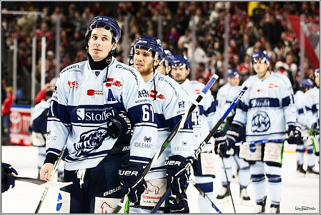 PENNY DEL; Koelner Haie- Straubing Tigers; Koeln, 15.12.2023