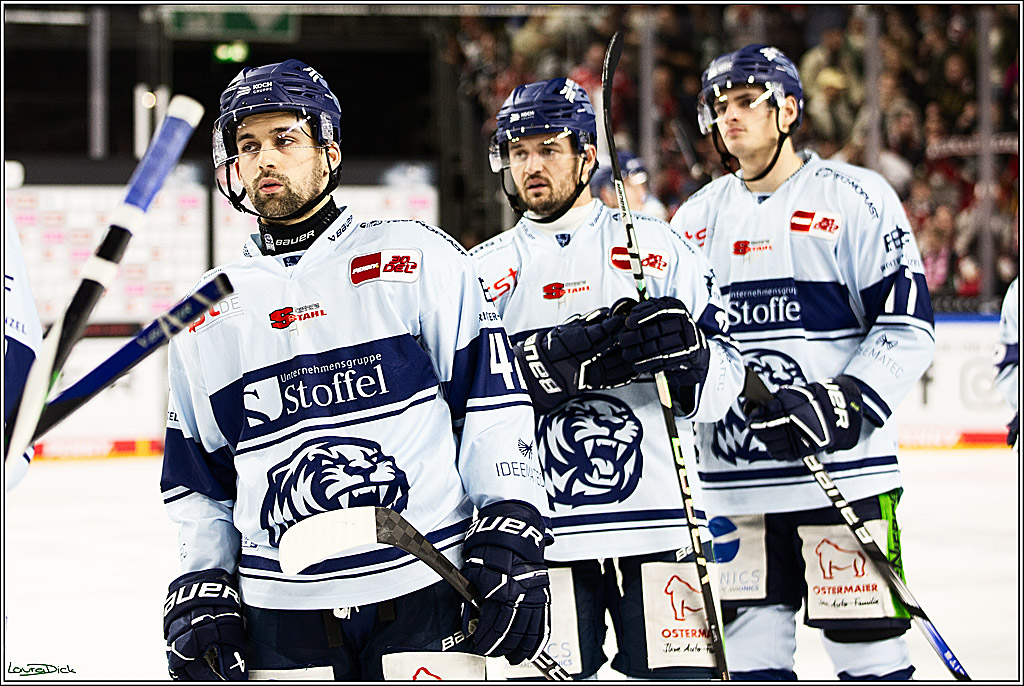 PENNY DEL; Koelner Haie- Straubing Tigers; Koeln, 15.12.2023