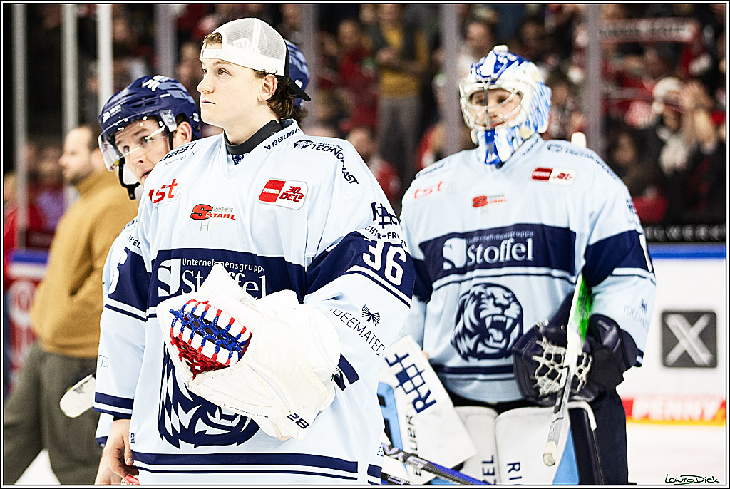 PENNY DEL; Koelner Haie- Straubing Tigers; Koeln, 15.12.2023