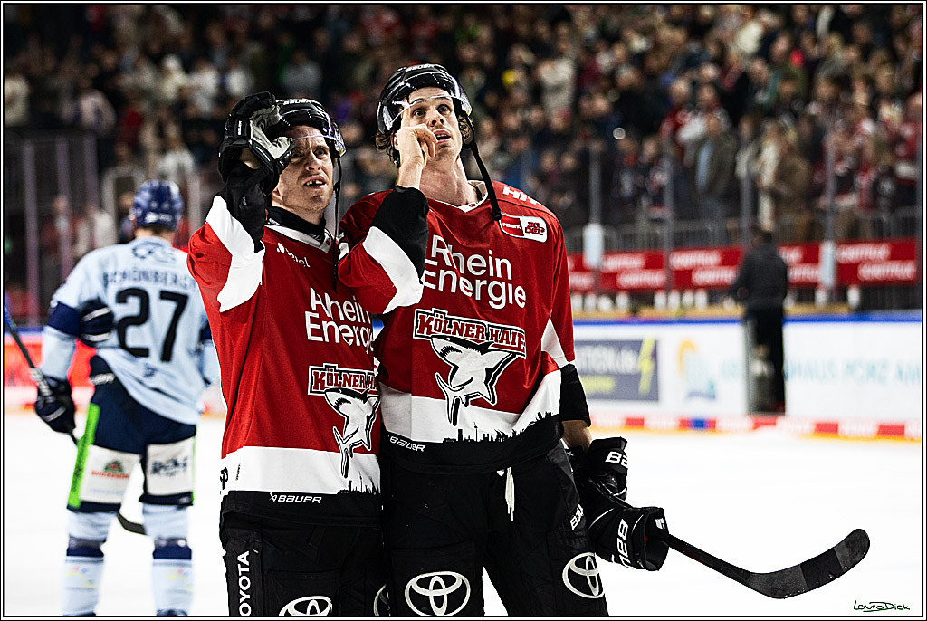 PENNY DEL; Koelner Haie- Straubing Tigers; Koeln, 15.12.2023