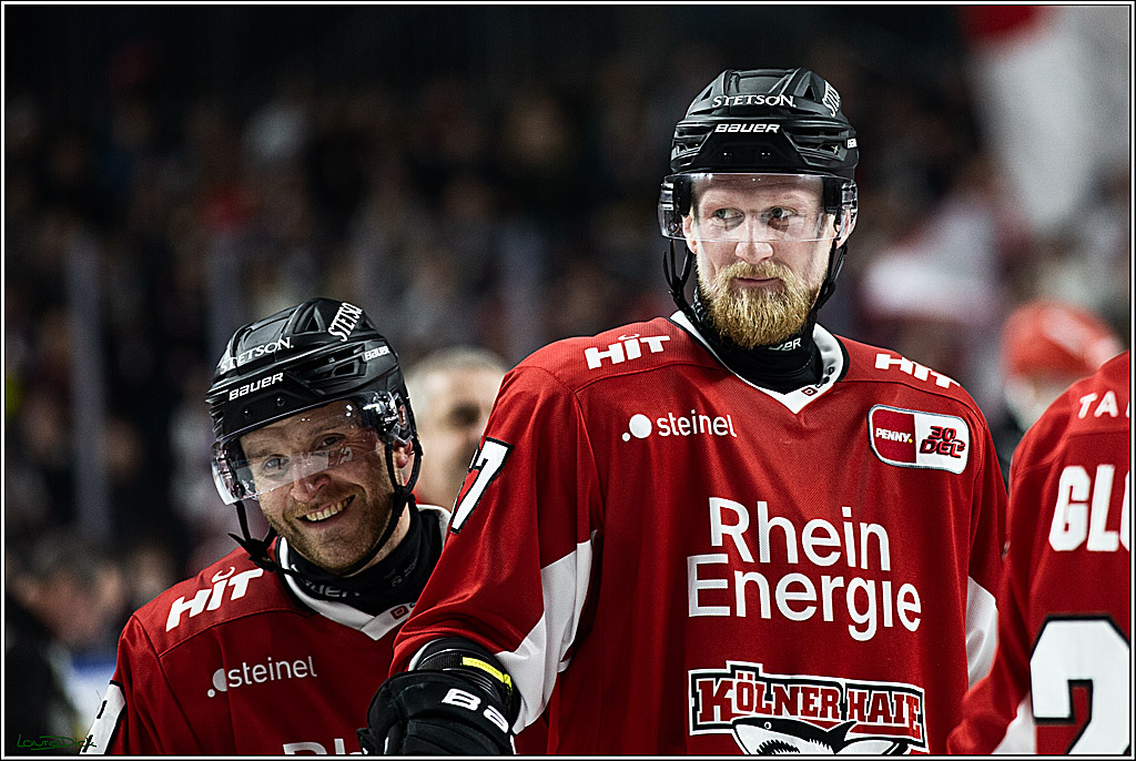 PENNY DEL; Koelner Haie- Straubing Tigers; Koeln, 15.12.2023