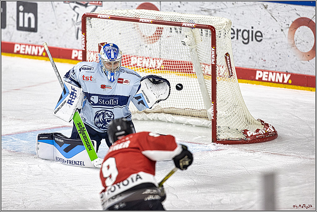 PENNY DEL 1. Koelner Haie - Straubing Tigers; Koeln, 15.12.2023
