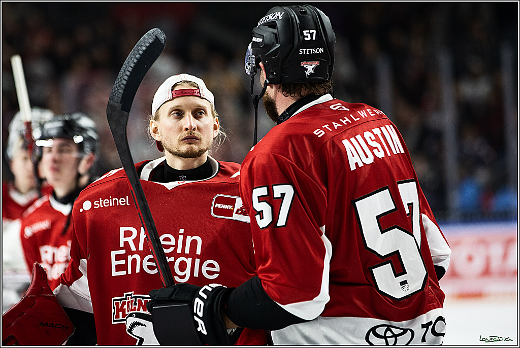 PENNY DEL; Koelner Haie- Straubing Tigers; Koeln, 15.12.2023
