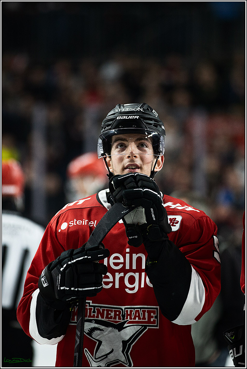PENNY DEL; Koelner Haie- Straubing Tigers; Koeln, 15.12.2023