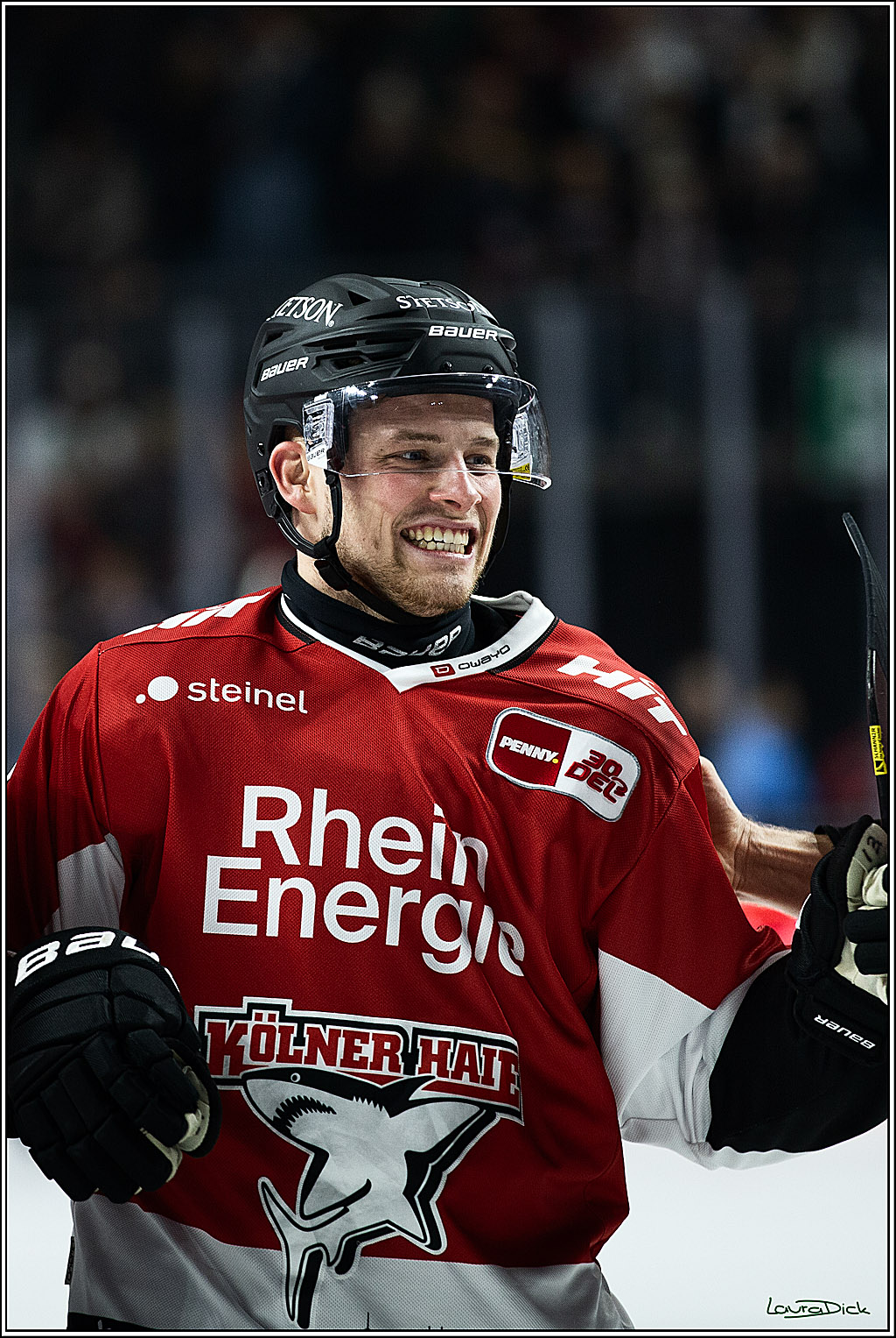 PENNY DEL; Koelner Haie- Straubing Tigers; Koeln, 15.12.2023