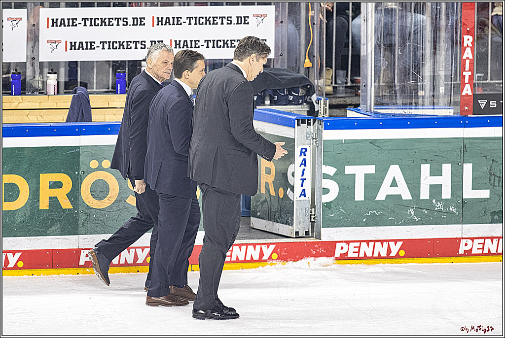 PENNY DEL 1. Koelner Haie - Straubing Tigers; Koeln, 15.12.2023