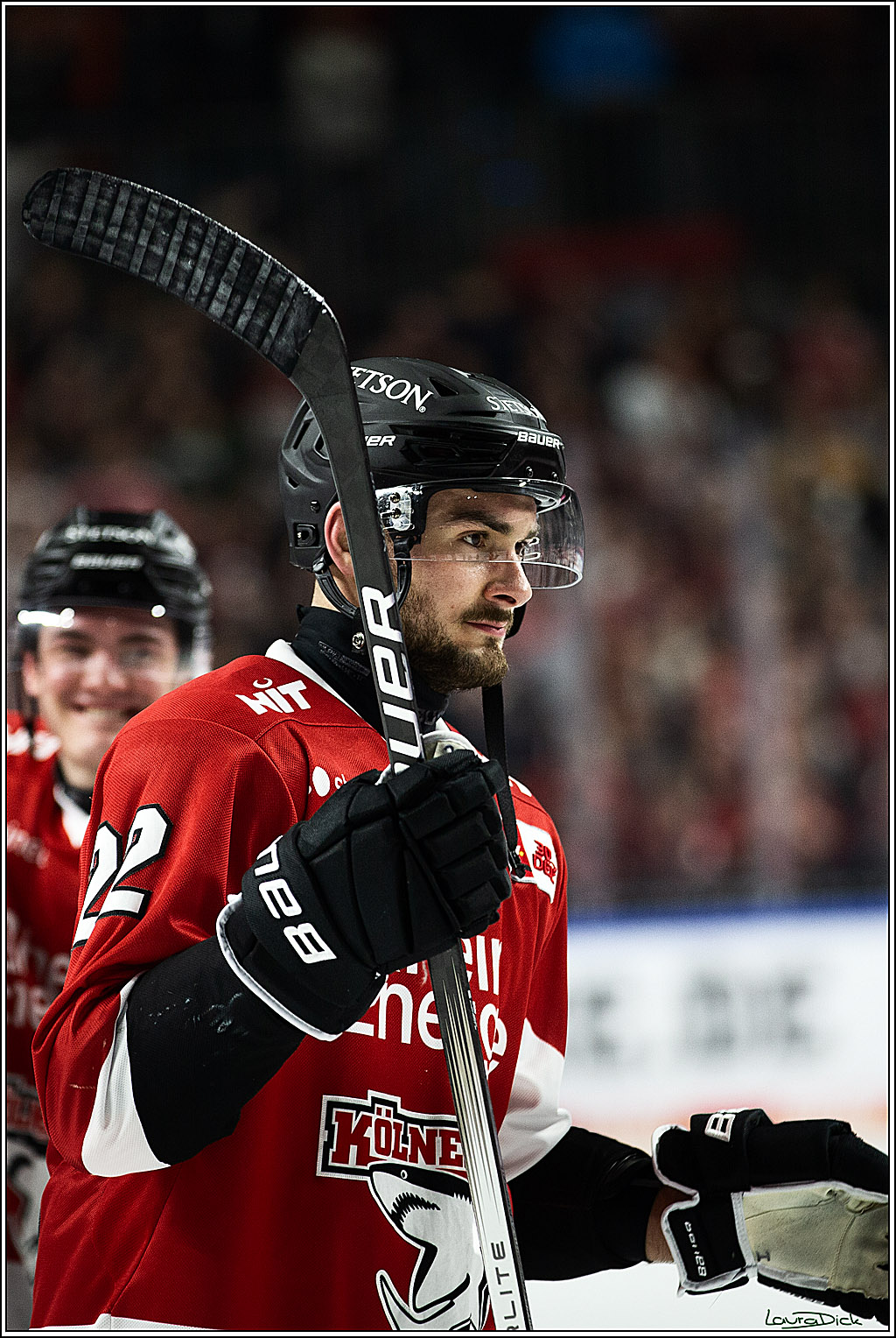 PENNY DEL; Koelner Haie- Straubing Tigers; Koeln, 15.12.2023