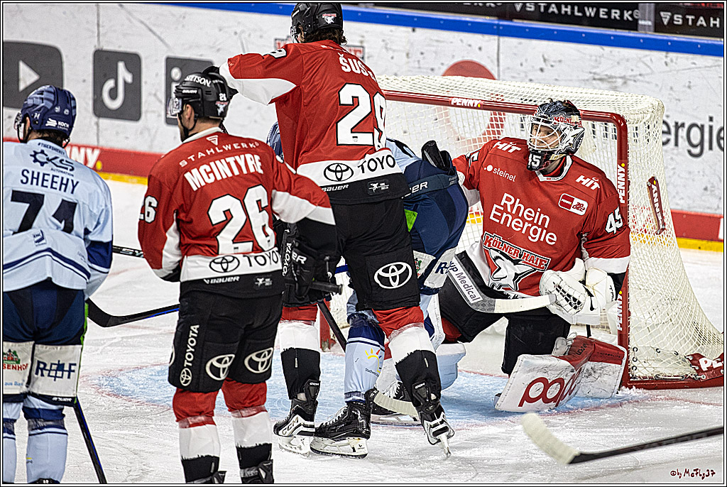 PENNY DEL 1. Koelner Haie - Straubing Tigers; Koeln, 15.12.2023