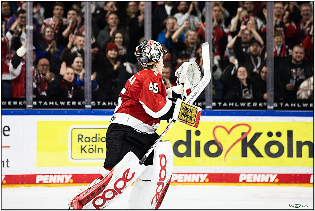 PENNY DEL; Koelner Haie- Straubing Tigers; Koeln, 15.12.2023