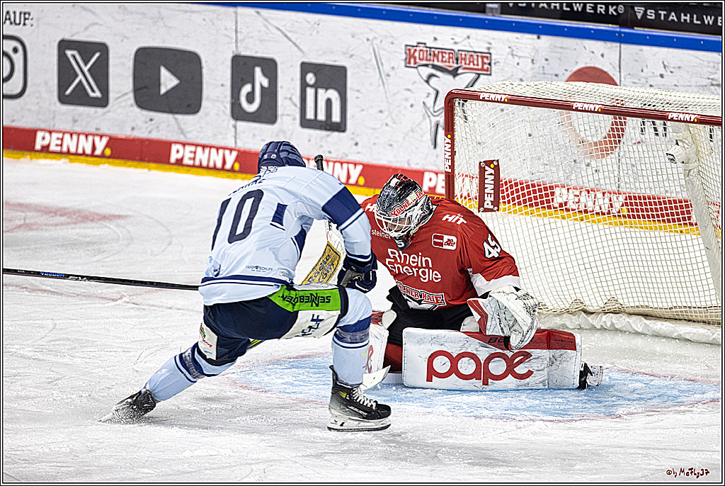 PENNY DEL 1. Koelner Haie - Straubing Tigers; Koeln, 15.12.2023