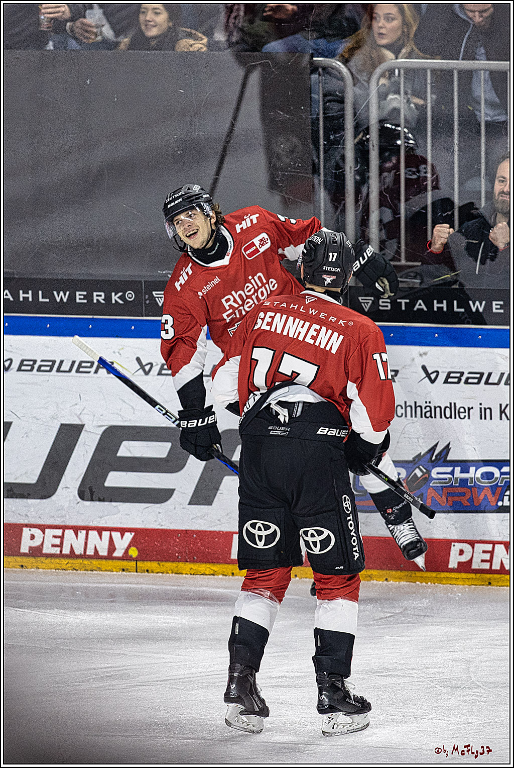 PENNY DEL 1. Koelner Haie - Straubing Tigers; Koeln, 15.12.2023