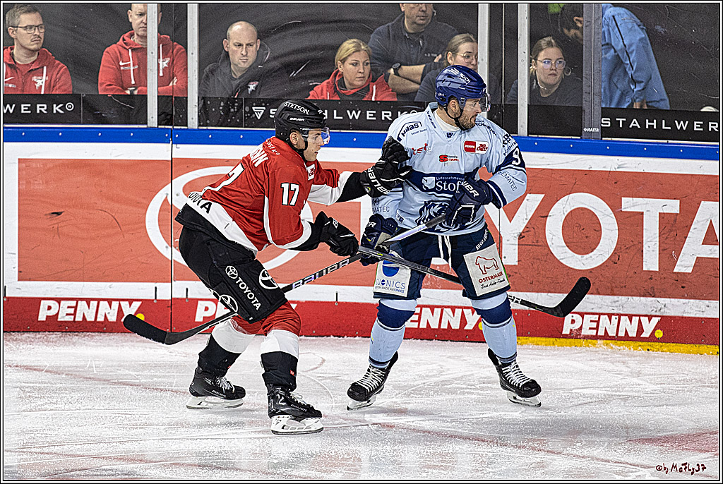 PENNY DEL 1. Koelner Haie - Straubing Tigers; Koeln, 15.12.2023