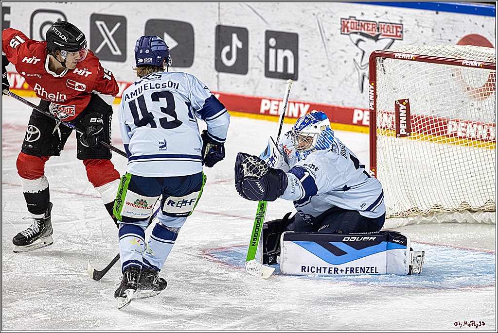 PENNY DEL 1. Koelner Haie - Straubing Tigers; Koeln, 15.12.2023