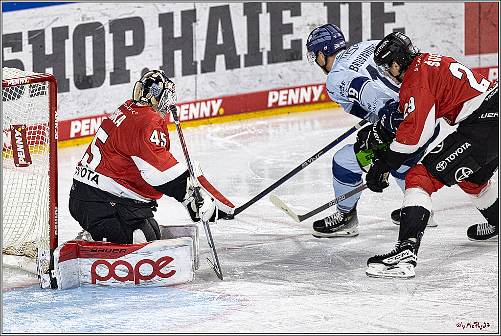 PENNY DEL 1. Koelner Haie - Straubing Tigers; Koeln, 15.12.2023