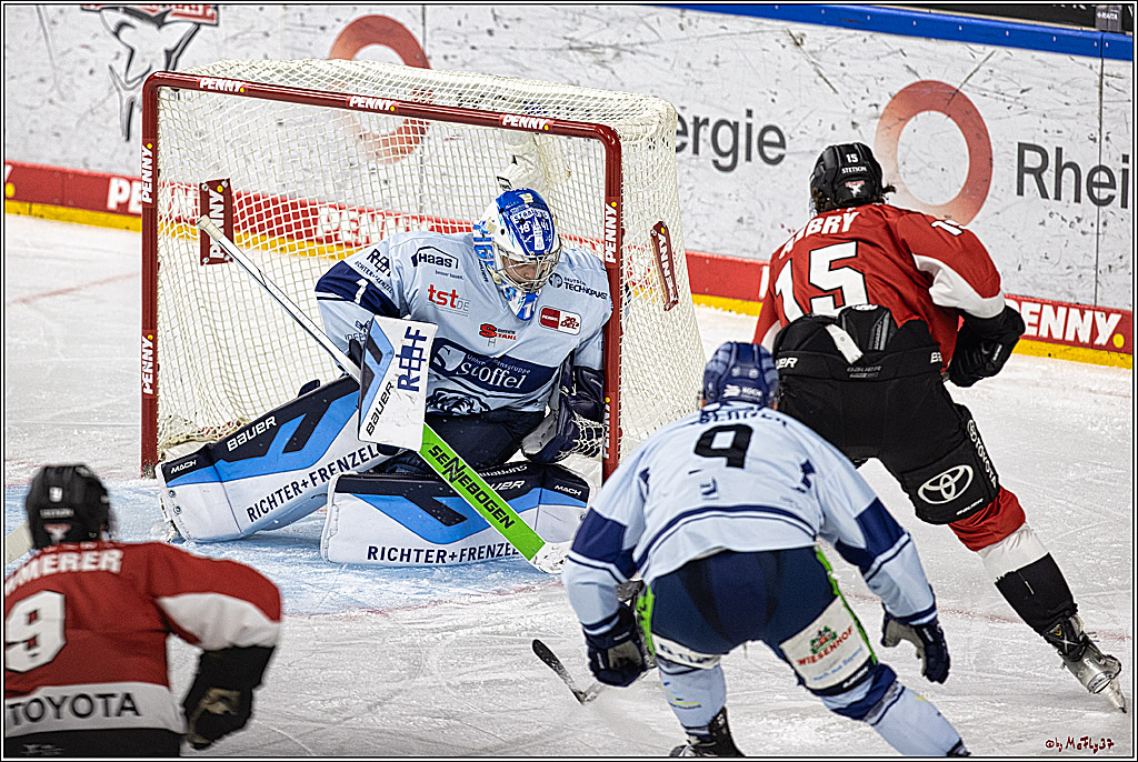 PENNY DEL 1. Koelner Haie - Straubing Tigers; Koeln, 15.12.2023