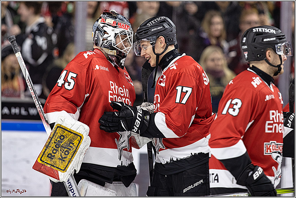 PENNY DEL 1. Koelner Haie - Straubing Tigers; Koeln, 15.12.2023