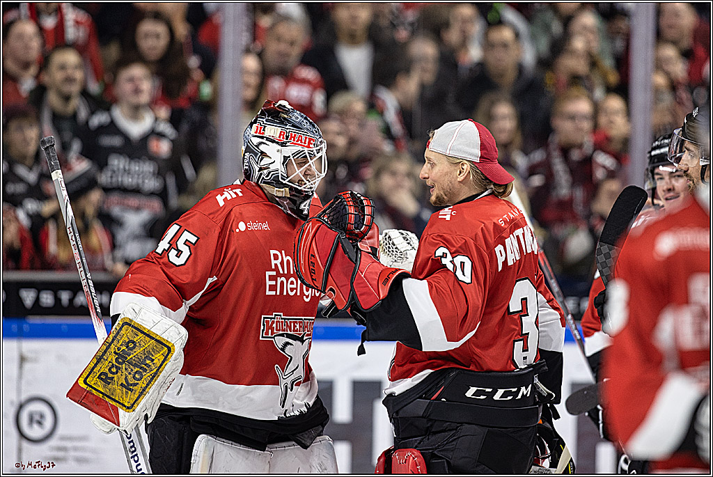 PENNY DEL 1. Koelner Haie - Straubing Tigers; Koeln, 15.12.2023