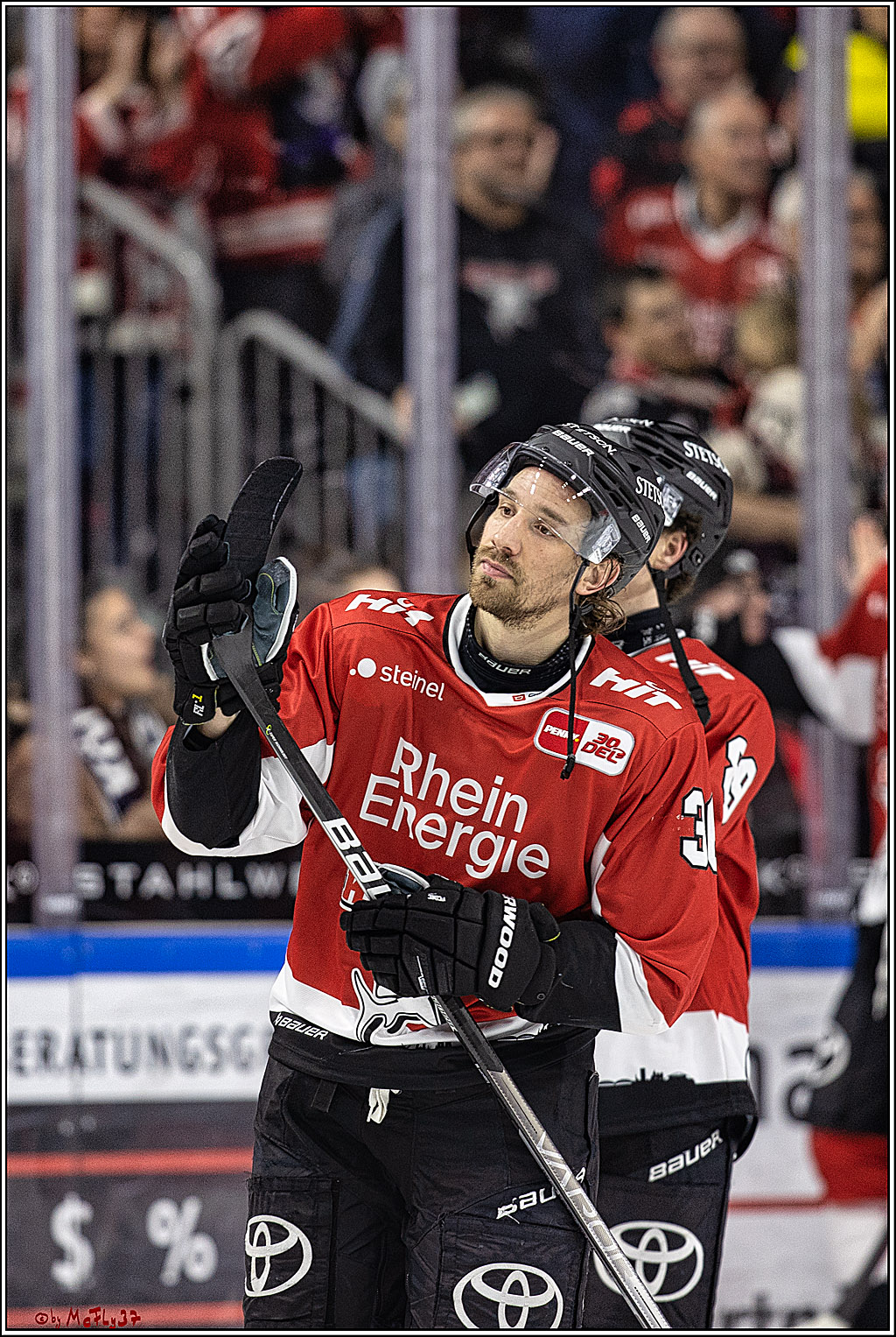 PENNY DEL 1. Koelner Haie - Straubing Tigers; Koeln, 15.12.2023
