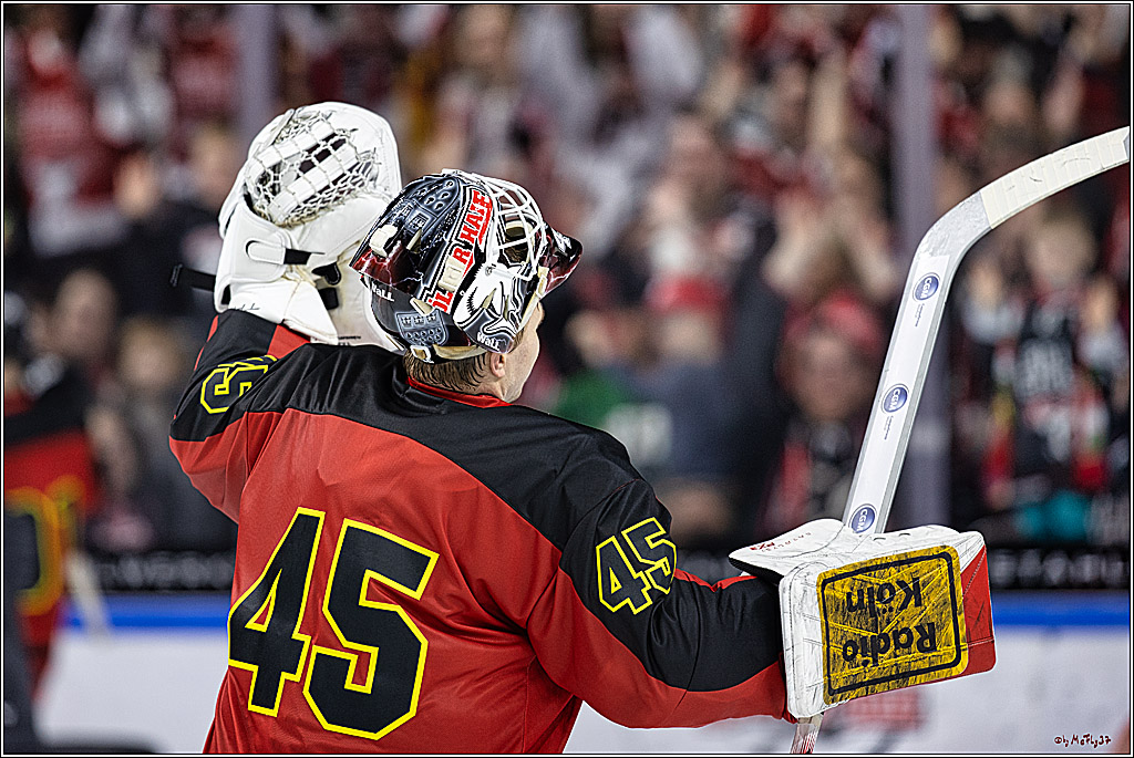 PENNY DEL 1. Koelner Haie - Nürnberg Ice Tigers; Koeln, 17.12.2023
