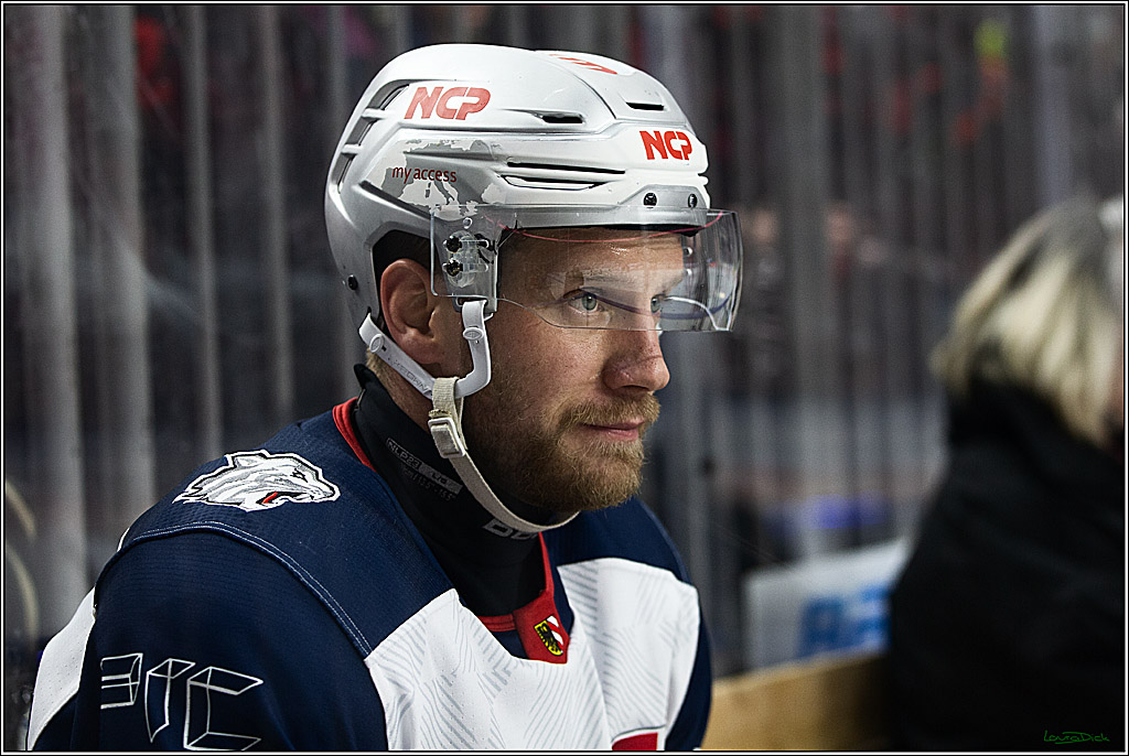PENNY DEL; Koelner Haie- Nuernberger Ice Tigers; Koeln, 17.12.2023