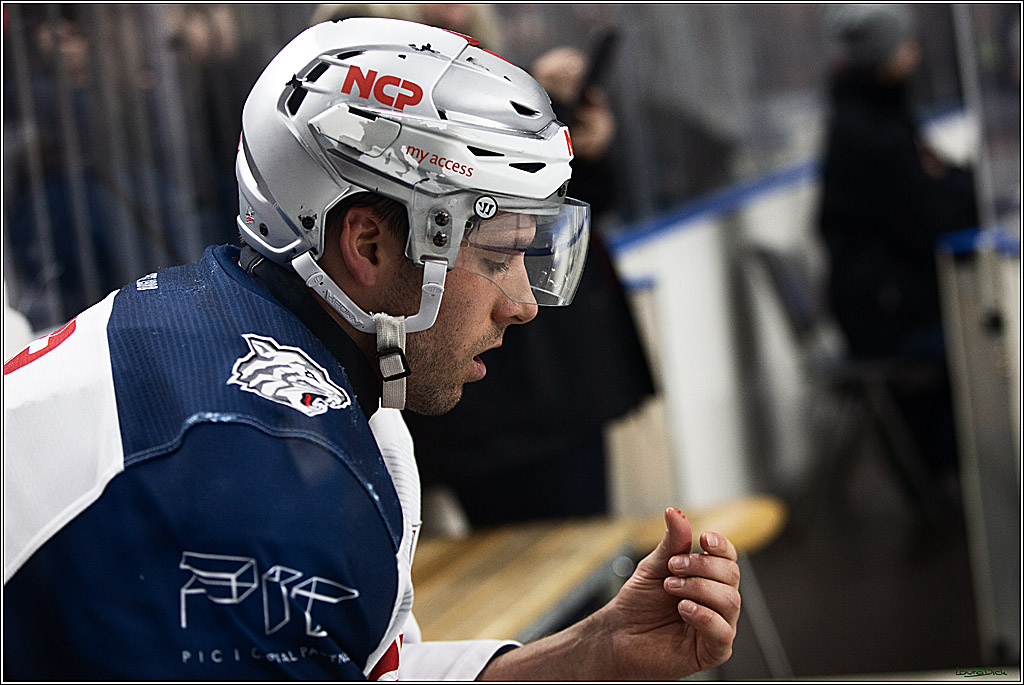 PENNY DEL; Koelner Haie- Nuernberger Ice Tigers; Koeln, 17.12.2023