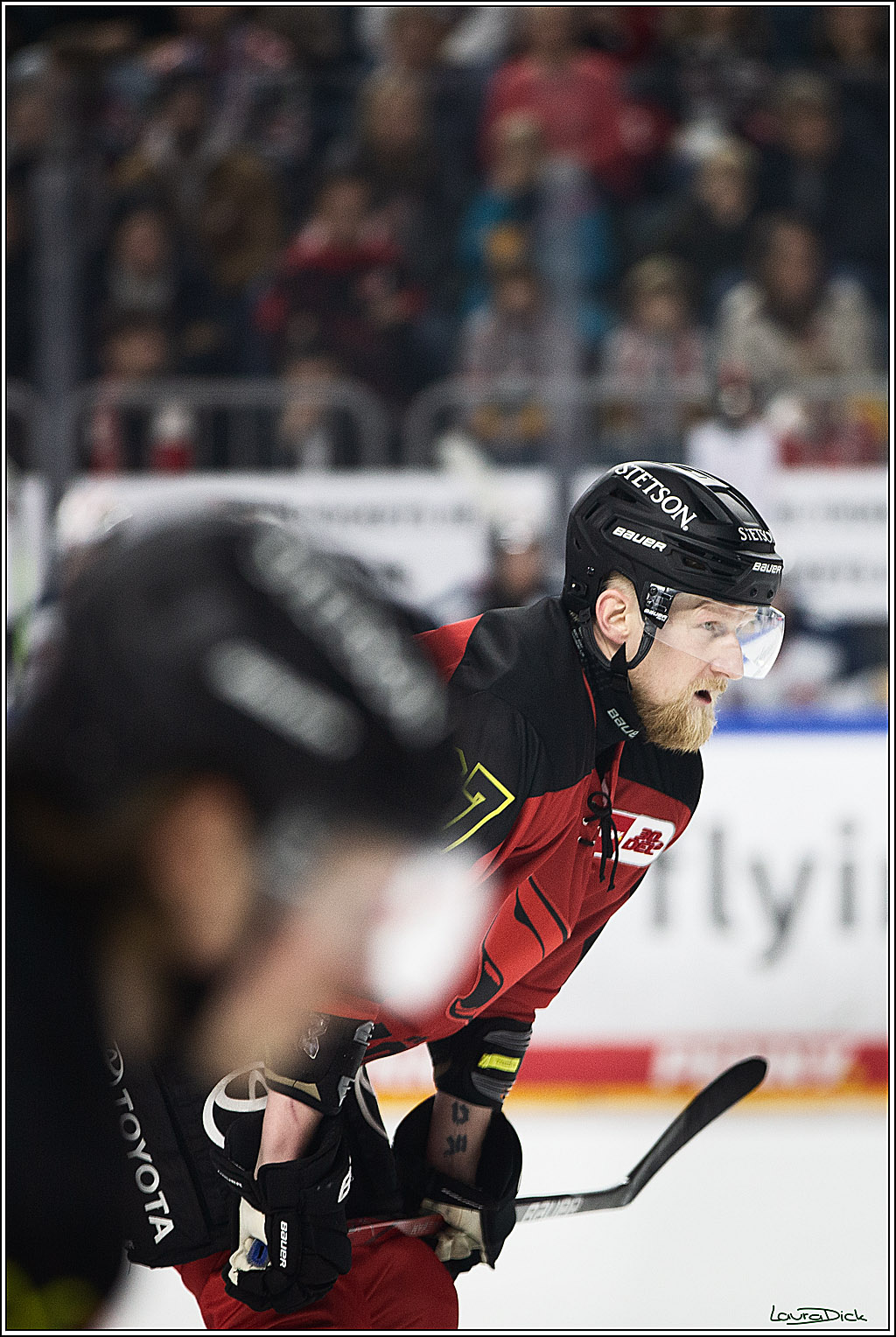 PENNY DEL; Koelner Haie- Nuernberger Ice Tigers; Koeln, 17.12.2023