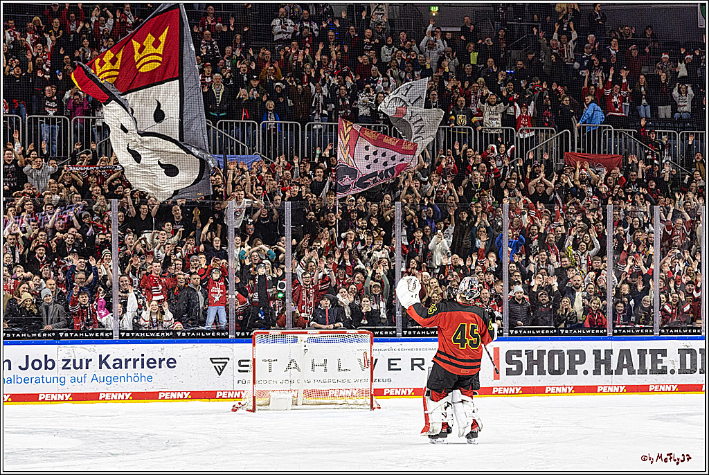 PENNY DEL 1. Koelner Haie - Nürnberg Ice Tigers; Koeln, 17.12.2023