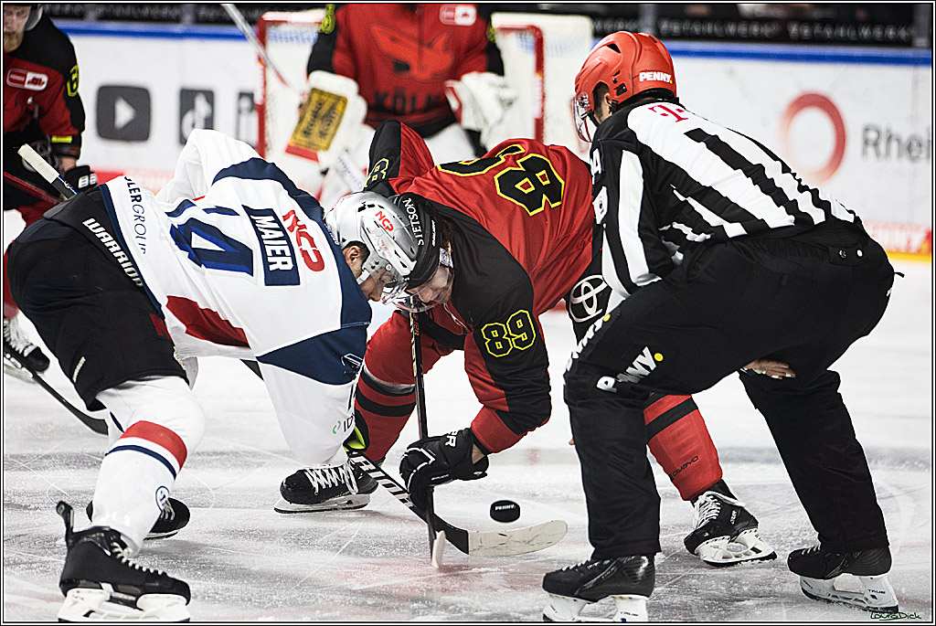 PENNY DEL; Koelner Haie- Nuernberger Ice Tigers; Koeln, 17.12.2023