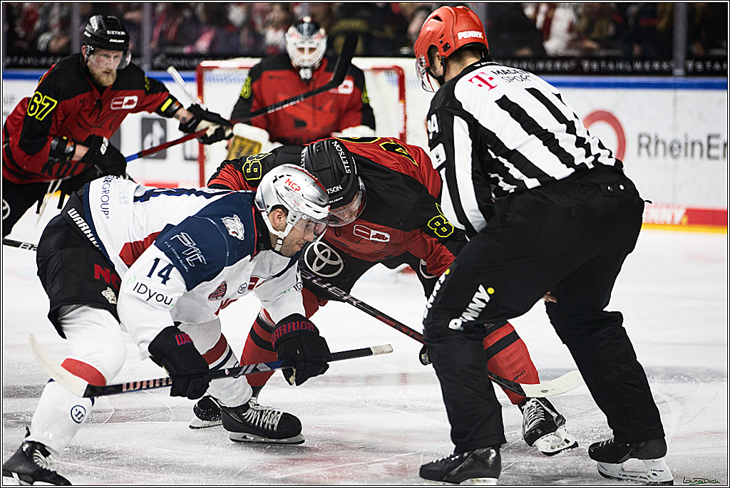 PENNY DEL; Koelner Haie- Nuernberger Ice Tigers; Koeln, 17.12.2023
