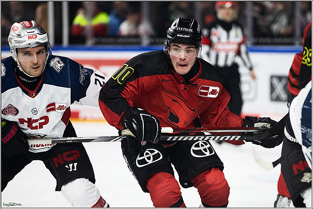 PENNY DEL; Koelner Haie- Nuernberger Ice Tigers; Koeln, 17.12.2023