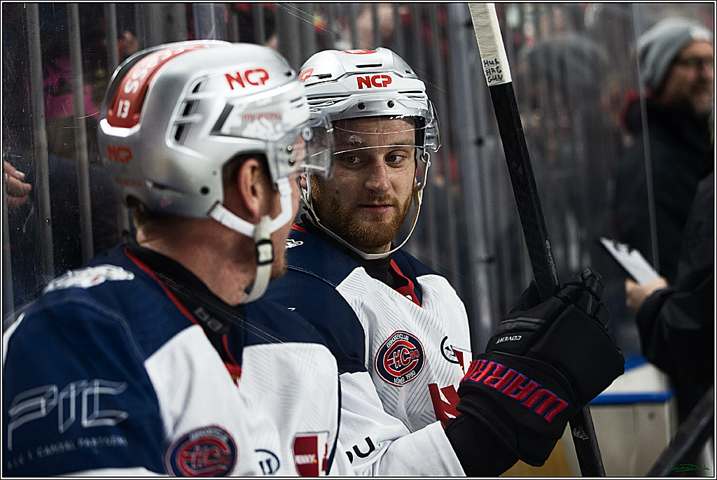 PENNY DEL; Koelner Haie- Nuernberger Ice Tigers; Koeln, 17.12.2023