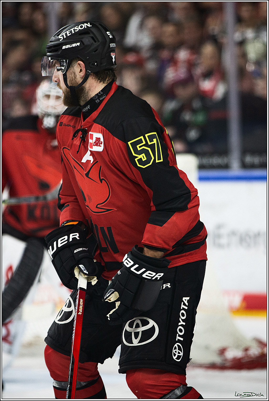 PENNY DEL; Koelner Haie- Nuernberger Ice Tigers; Koeln, 17.12.2023