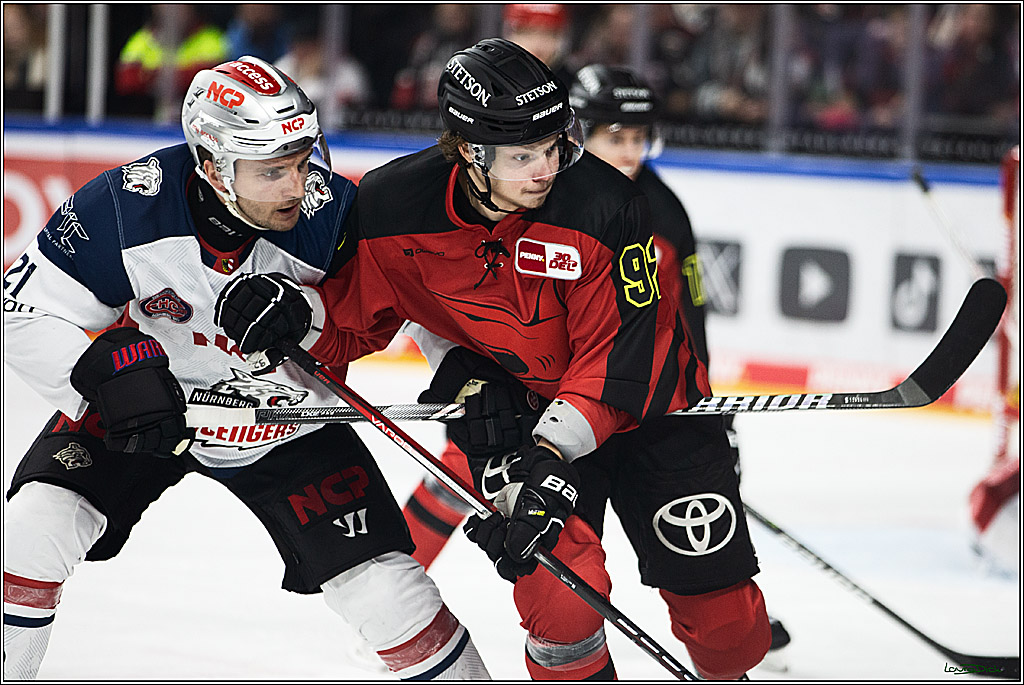 PENNY DEL; Koelner Haie- Nuernberger Ice Tigers; Koeln, 17.12.2023