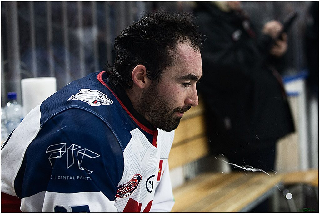 PENNY DEL; Koelner Haie- Nuernberger Ice Tigers; Koeln, 17.12.2023