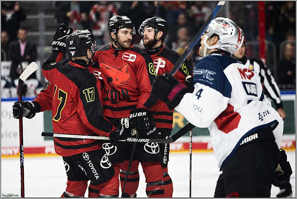 PENNY DEL; Koelner Haie- Nuernberger Ice Tigers; Koeln, 17.12.2023