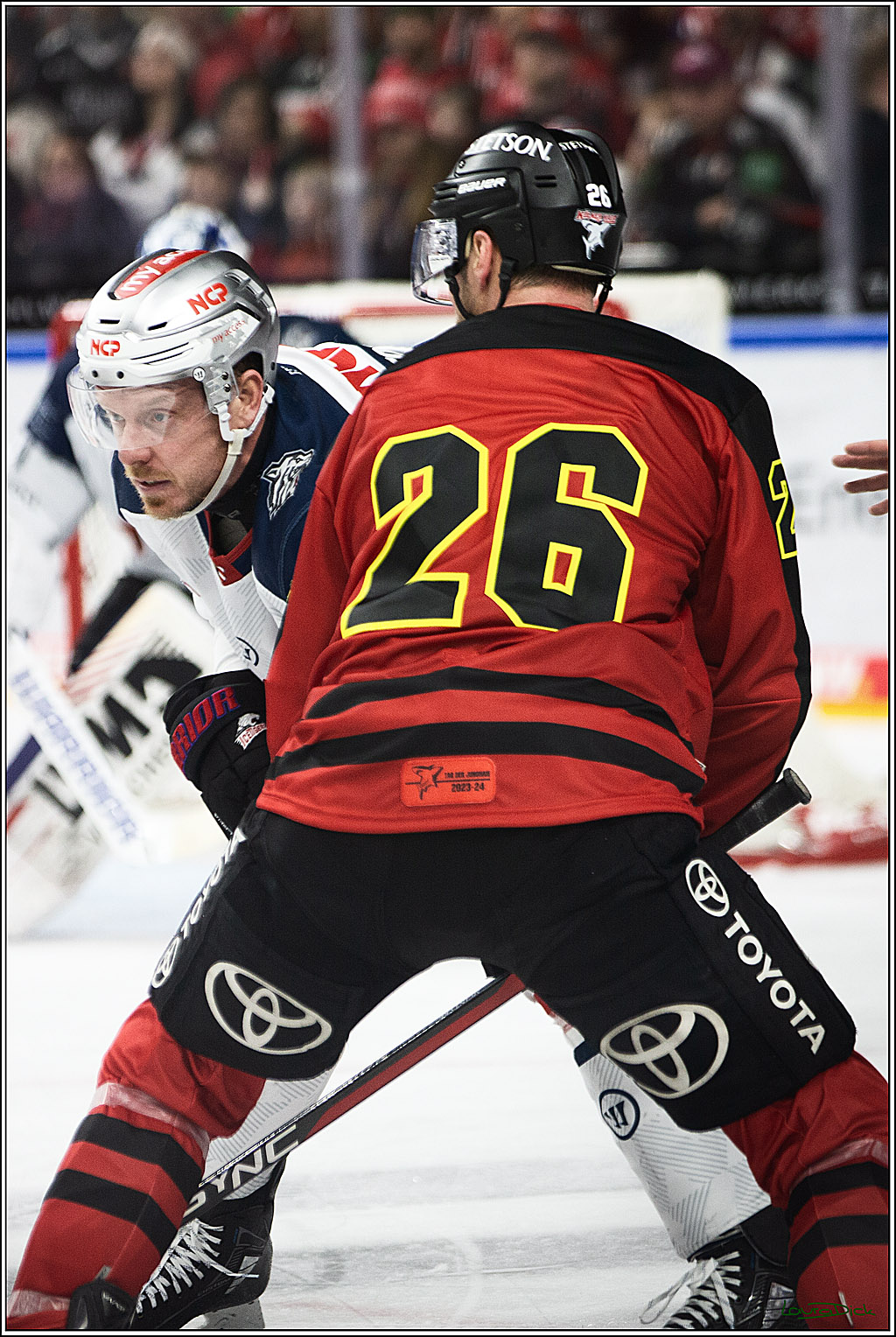 PENNY DEL; Koelner Haie- Nuernberger Ice Tigers; Koeln, 17.12.2023