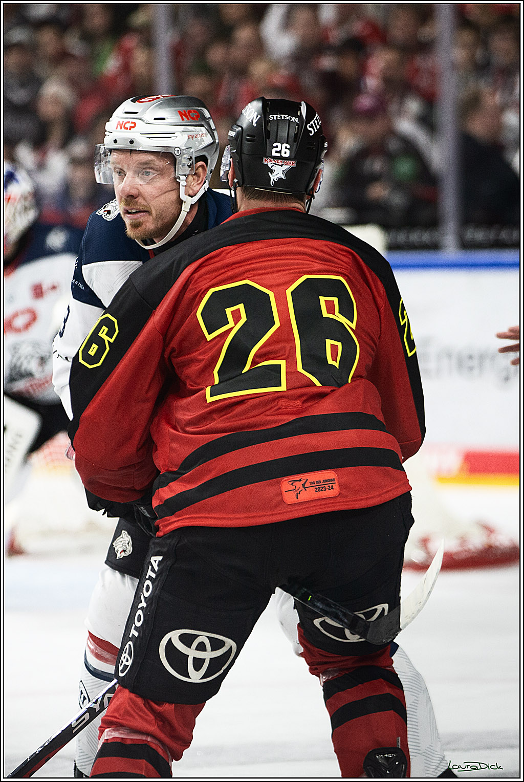 PENNY DEL; Koelner Haie- Nuernberger Ice Tigers; Koeln, 17.12.2023