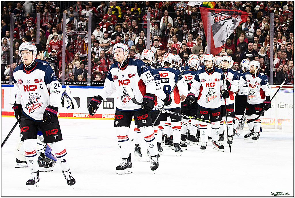 PENNY DEL; Koelner Haie- Nuernberger Ice Tigers; Koeln, 17.12.2023