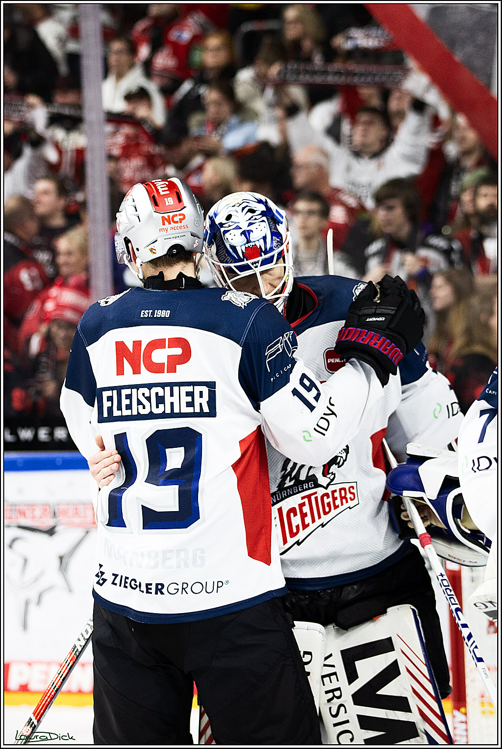PENNY DEL; Koelner Haie- Nuernberger Ice Tigers; Koeln, 17.12.2023