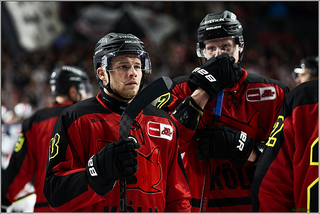PENNY DEL; Koelner Haie- Nuernberger Ice Tigers; Koeln, 17.12.2023