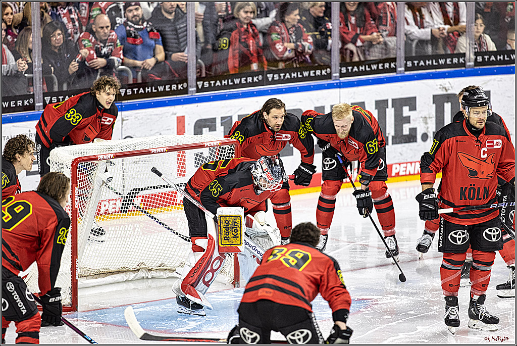 PENNY DEL 1. Koelner Haie - Nürnberg Ice Tigers; Koeln, 17.12.2023