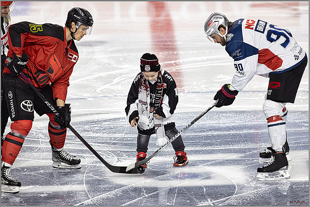 PENNY DEL 1. Koelner Haie - Nürnberg Ice Tigers; Koeln, 17.12.2023