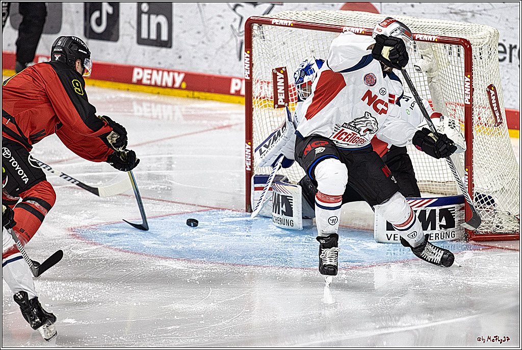 PENNY DEL 1. Koelner Haie - Nürnberg Ice Tigers; Koeln, 17.12.2023